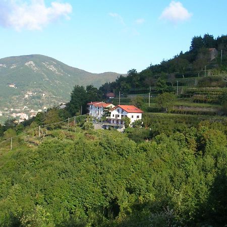 Agriturismo Il Castagno Villa Agerola Exterior photo