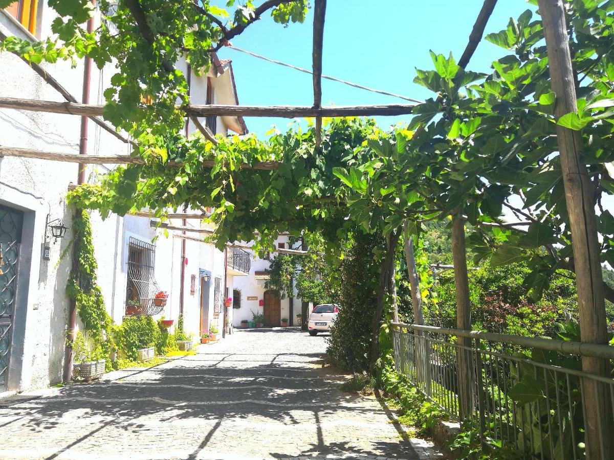 Agriturismo Il Castagno Villa Agerola Exterior photo