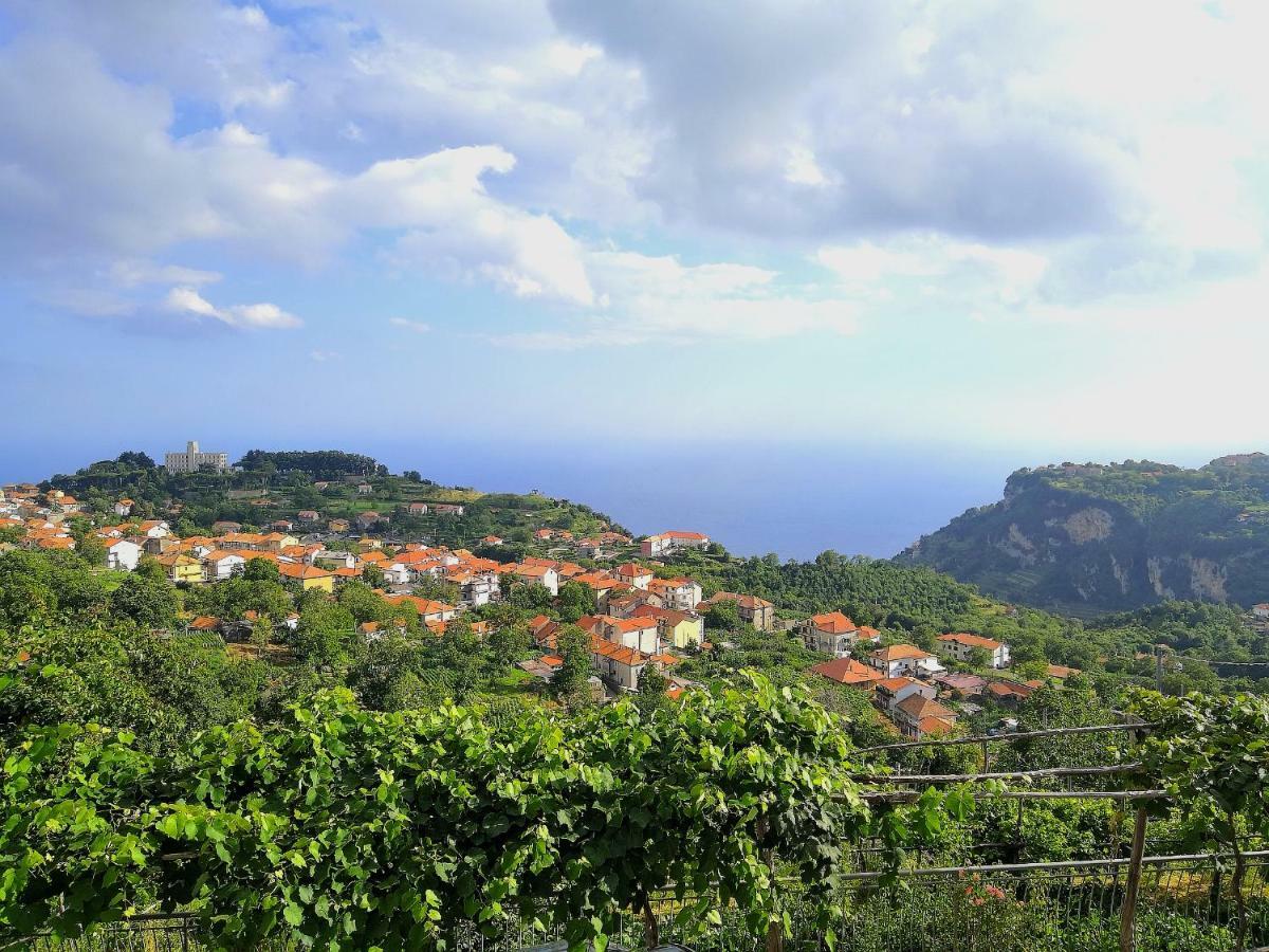 Agriturismo Il Castagno Villa Agerola Exterior photo
